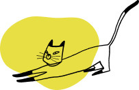 stretching cat for personal finance nz