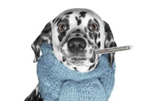 Emergency Quick Cash Loans