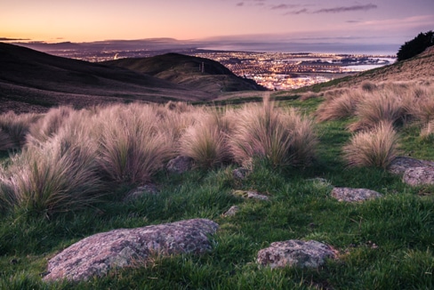 feeling on top of the hill with personal loans nz